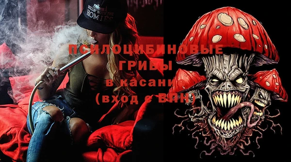 молекула духа Ельня