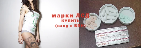 молекула духа Ельня