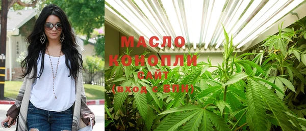 молекула духа Ельня