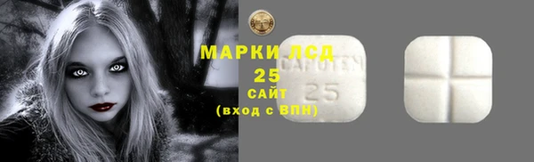 молекула духа Ельня