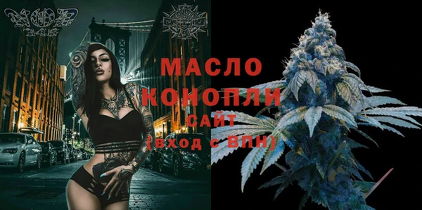 молекула духа Ельня