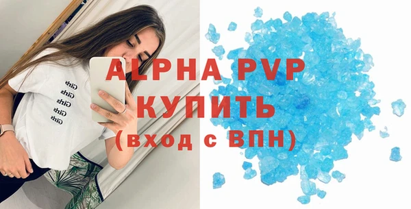 молекула духа Ельня