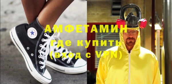 молекула духа Ельня