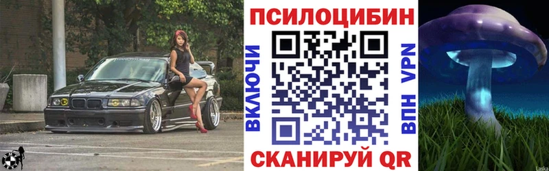 Купить где  Малоярославец  Псилоцибиновые грибы MAGIC MUSHROOMS 